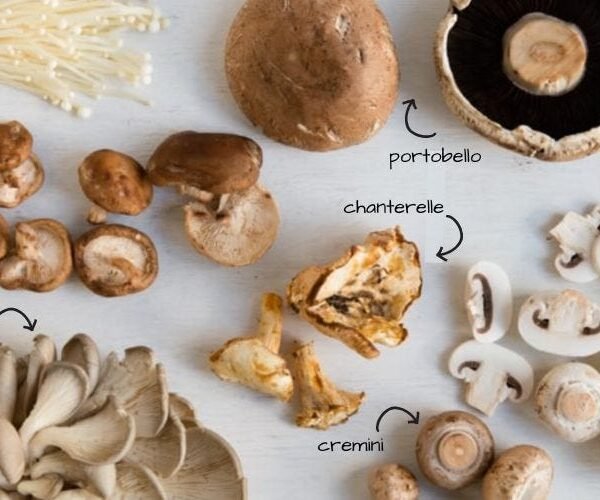 How Long Do Mushrooms Stay in Your System?