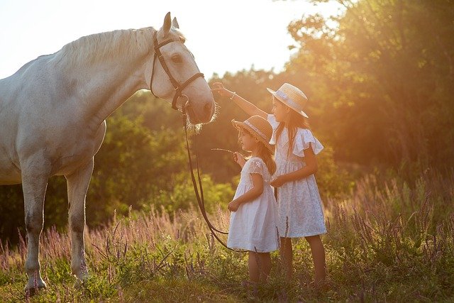 ,src-img-3=''confident children playing with a horse''>